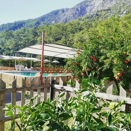 호텔 Holiday Box Club 안탈리아