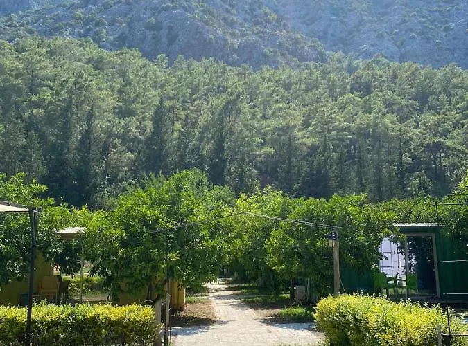 Holiday Box Club 호텔 안탈리아